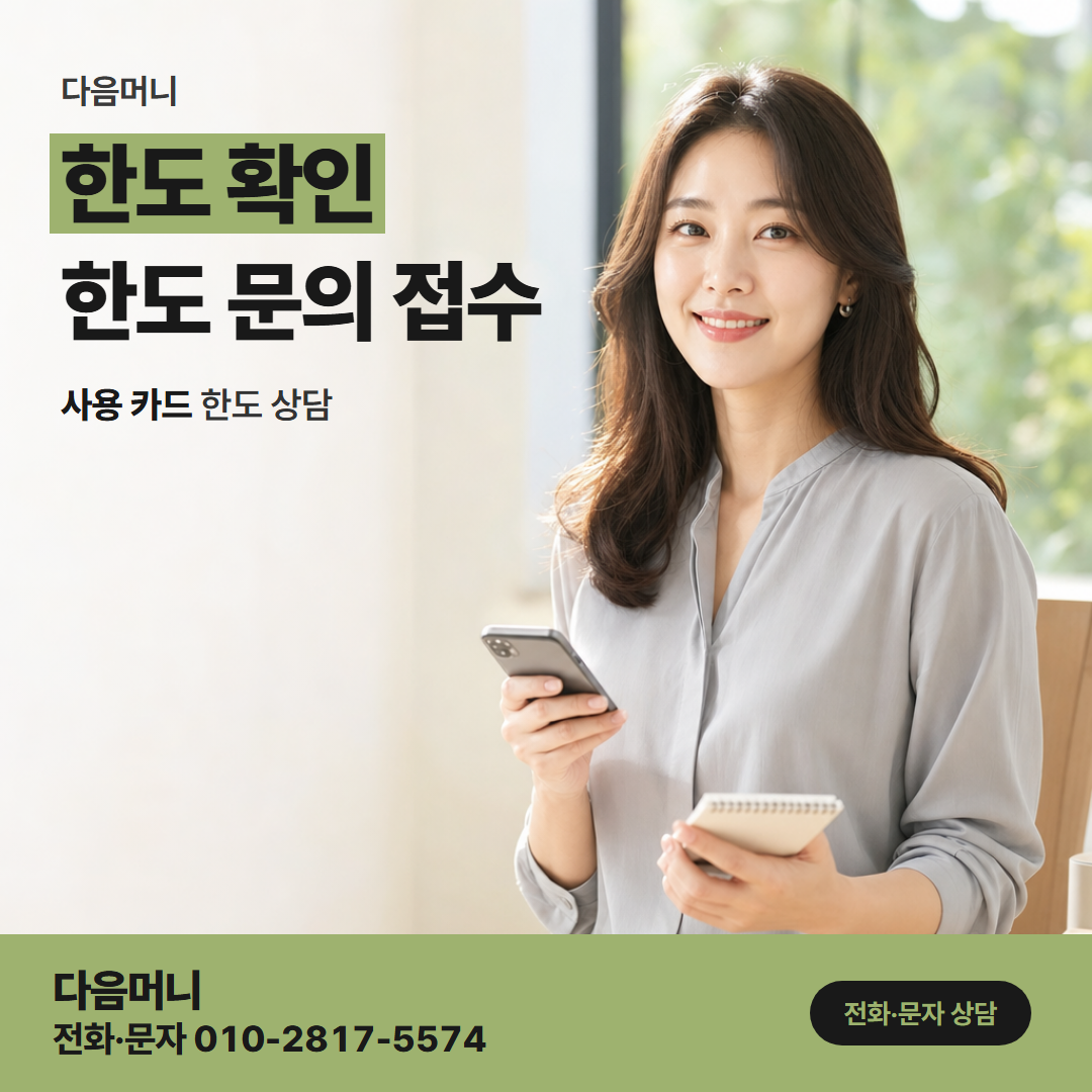 다음머니 광주카드깡 금액을 바꾸기 전 다시 하는 조회